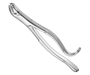 Extracting Forceps