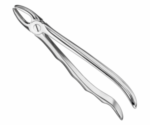 Extracting Forceps Anatom