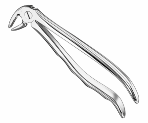 Extracting Forceps Anatom