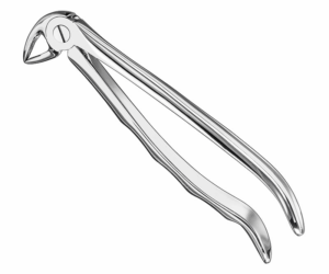 Extracting Forceps Anatom