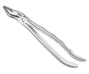 Extracting Forceps Anatom