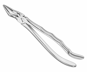 Extracting Forceps Anatom