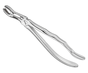 Extracting Forceps Anatom