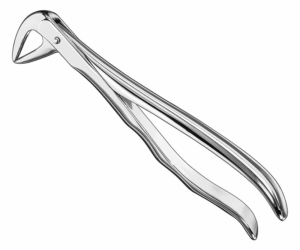 Extracting Forceps Anatom