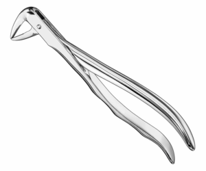 Extracting Forceps Anatom