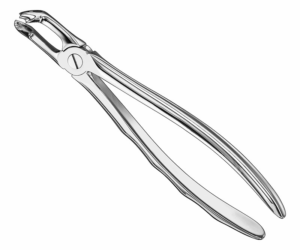 Extracting Forceps Anatom