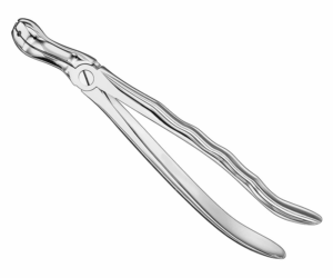 Extracting Forceps Anatom