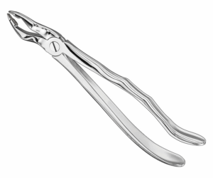 Extracting Forceps Anatom