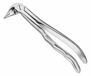 Extracting Forceps Anatom