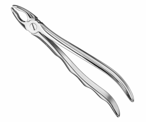 Extracting Forceps Anatom