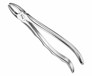 Extracting Forceps Anatom