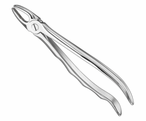 Extracting Forceps Anatom