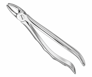 Extracting Forceps Anatom