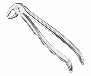 Extracting Forceps Anatom
