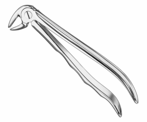 Extracting Forceps Anatom