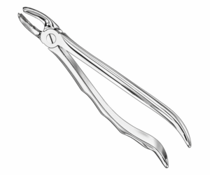 Extracting Forceps Anatom
