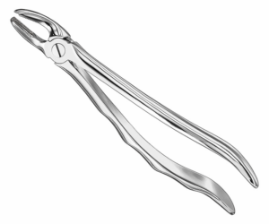 Extracting Forceps Anatom