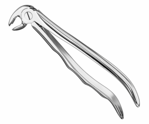 Extracting Forceps Anatom