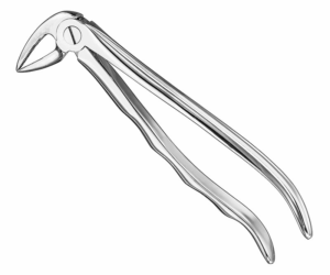 Extracting Forceps Anatom