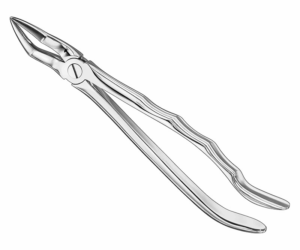 Extracting Forceps Anatom