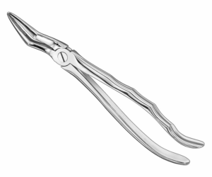 Extracting Forceps Anatom