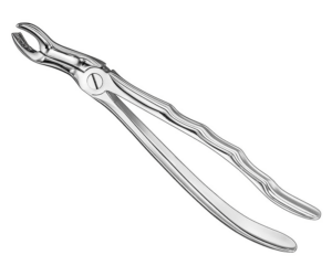 Extracting Forceps Anatom