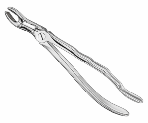 Extracting Forceps Anatom