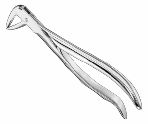 Extracting Forceps Anatom