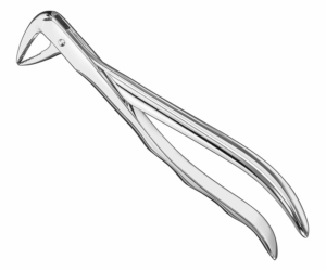 Extracting Forceps Anatom