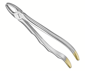 Extracting Forceps Anatom