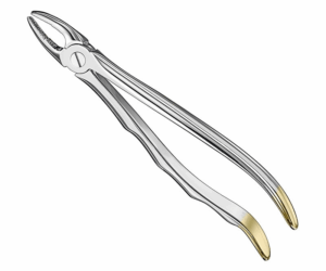 Extracting Forceps Anatom