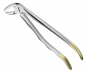 Extracting Forceps Anatom