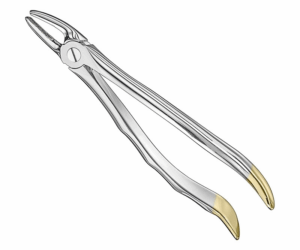 Extracting Forceps Anatom
