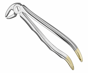 Extracting Forceps Anatom
