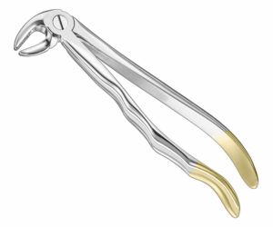 Extracting Forceps Anatom