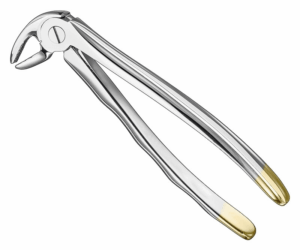 Extracting Forceps Anatom