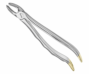 Extracting Forceps Anatom