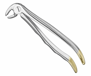 Extracting Forceps Anatom