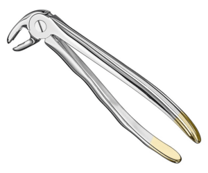 Extracting Forceps Anatom