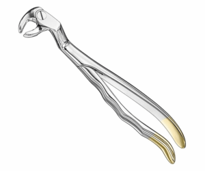 Extracting Forceps Anatom