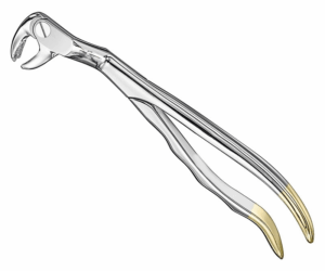 Extracting Forceps Anatom