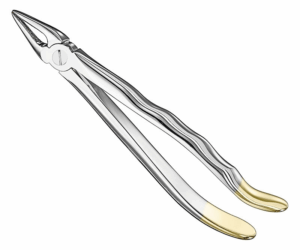 Extracting Forceps Anatom