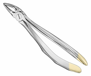 Extracting Forceps Anatom