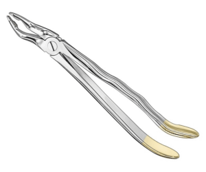 Extracting Forceps Anatom