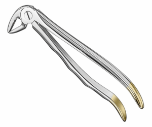 Extracting Forceps Anatom