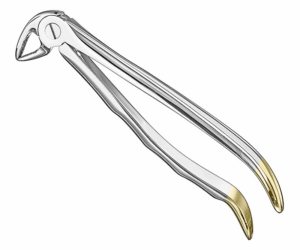 Extracting Forceps Anatom