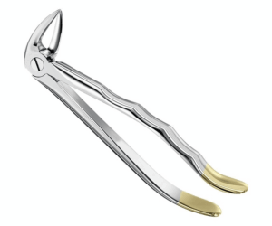 Extracting Forceps Anatom
