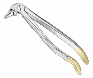 Extracting Forceps Anatom
