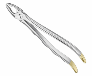 Extracting Forceps Anatom