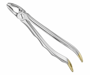 Extracting Forceps Anatom